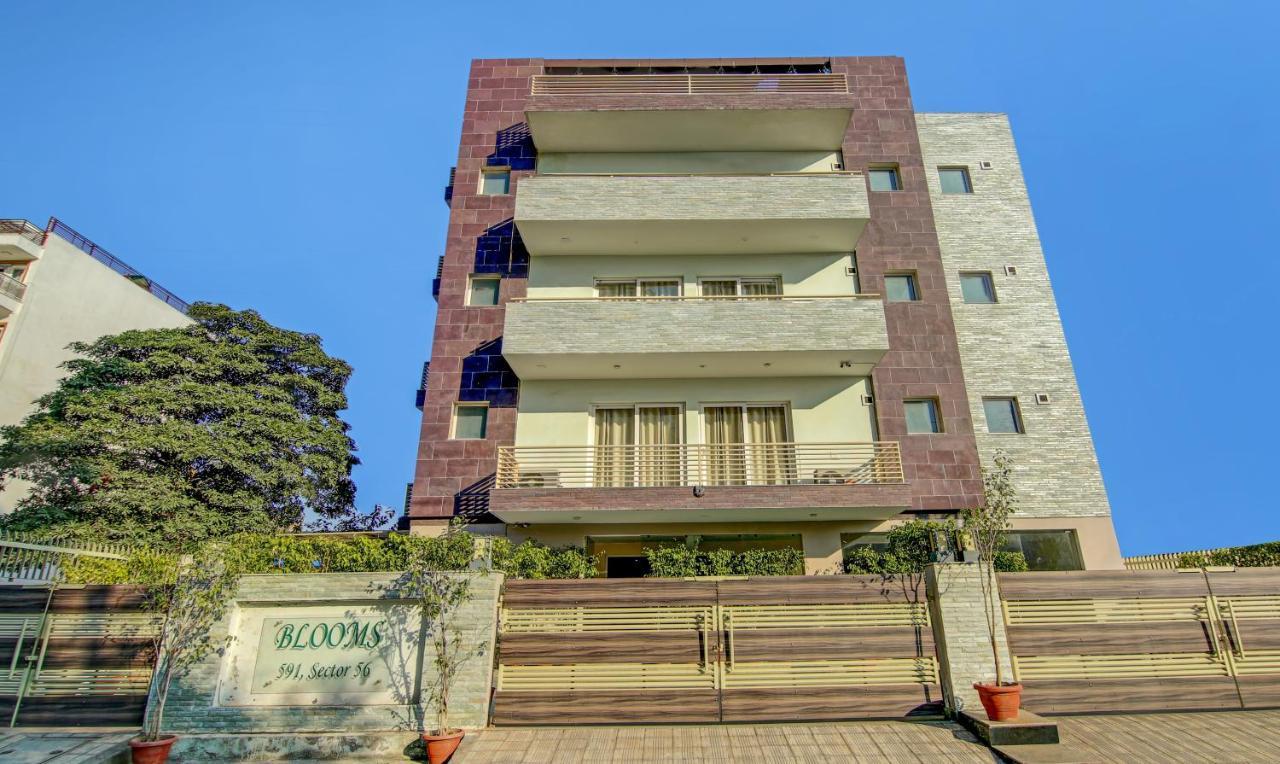 Treebo Trend Blooms Premium Hotel Gurgaon Zewnętrze zdjęcie